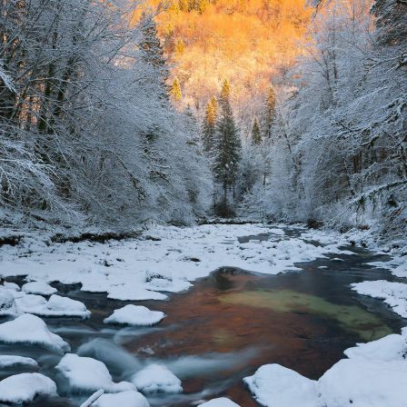 Et au milieu coule une rivière